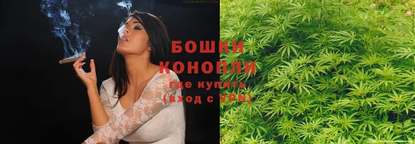 PSILOCYBIN Алексин