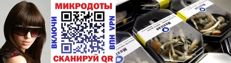 Галлюциногенные грибы GOLDEN TEACHER  Каргат 